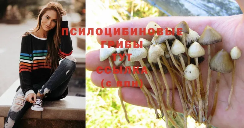 как найти закладки  blacksprut онион  Галлюциногенные грибы MAGIC MUSHROOMS  Дюртюли 